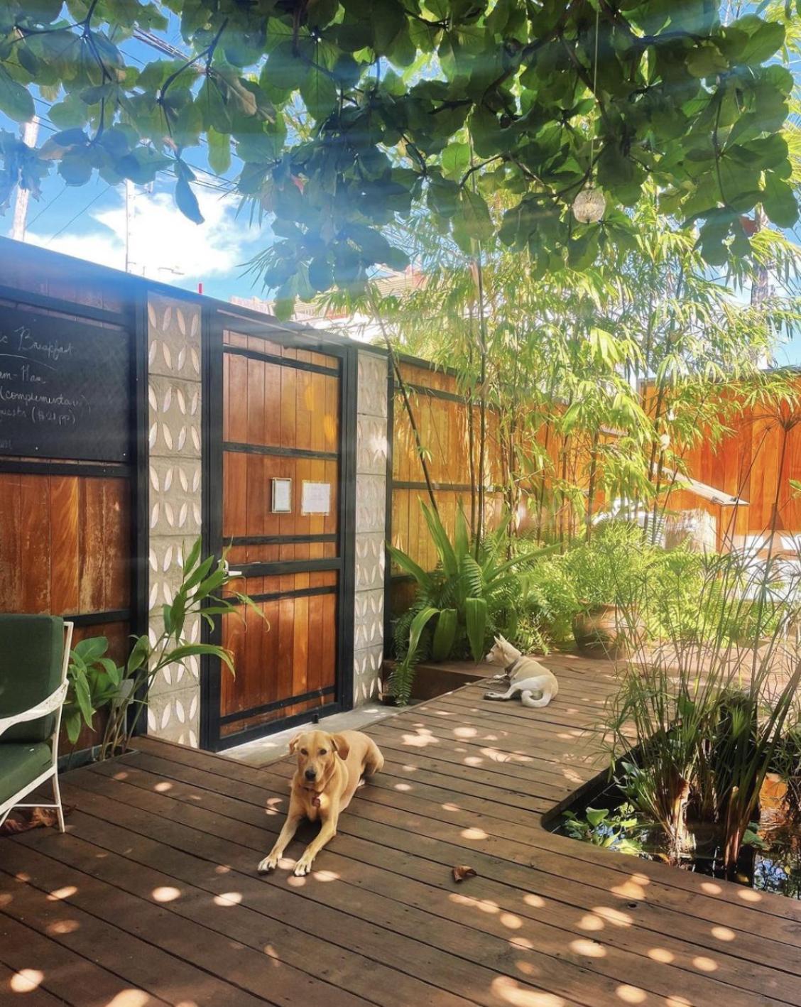 La Botanica Hotel San Juan Exteriör bild